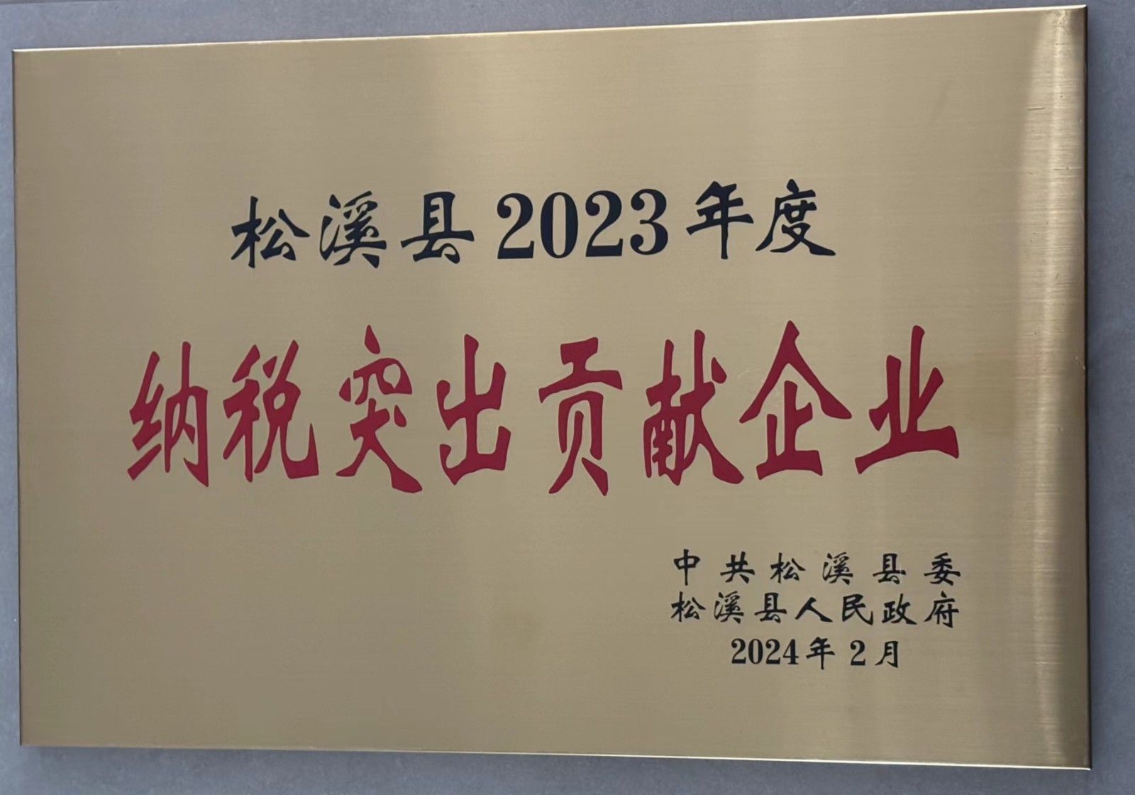 喜報(bào)!易順建工集團(tuán)榮獲“松溪縣2023年度納稅突出貢獻(xiàn)企業(yè)”稱號(hào)